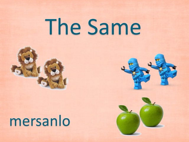  THE SAME by Mercedes Sanchez