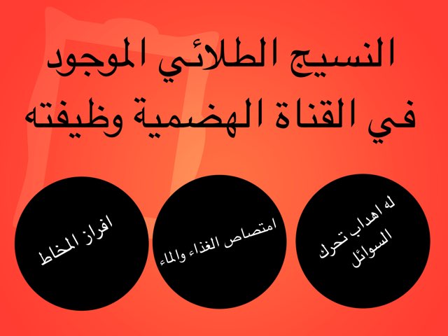 الانسجة الحيوانية by mariam yousef