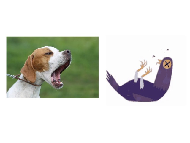 Test by Anna Brosbøl Jørgensen