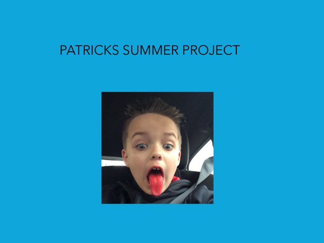 Patrick's Summer Project by Molly Scheffler