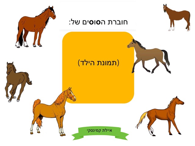 חוברת הסוסים- הצליל s (ס׳) by Ayelet Levy Kaminsky