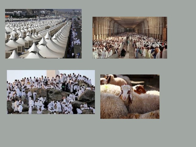 مناسك الحج by Manal Ahmed