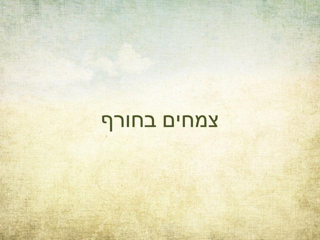 צמחים בחורף א3 by שראי
