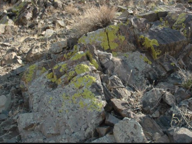 Find The Cat by Oscar Tegllund