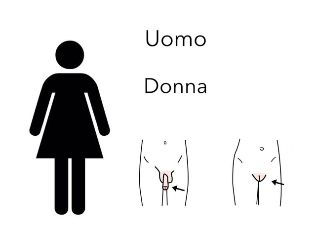 Apparato Riproduttore by Antonio Meleleo