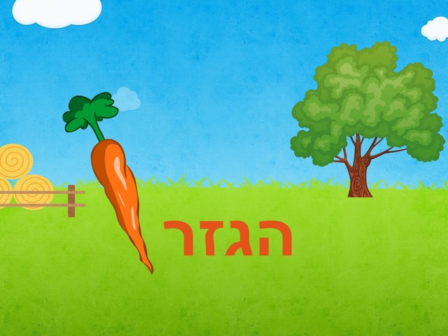 הגזר ניצנה by בועז פיגו