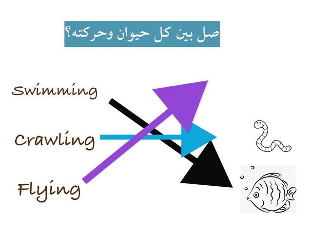 حركة الحيوان by جزوا مفلح