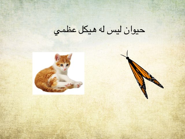 درس هل للكائنات الحية هيكل عظمي؟ by Abeer aAlmutairi