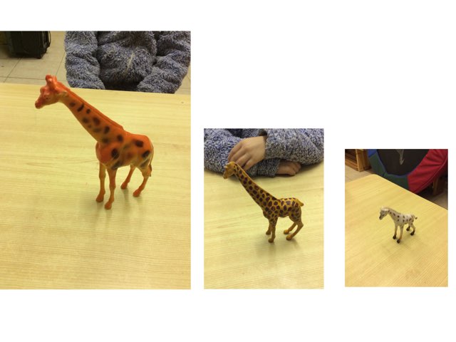 גן החיות של עומרי by אדוה עבאדי