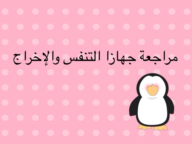 مراجعة جهازا التنفس والإخراج by Norah Al siafe