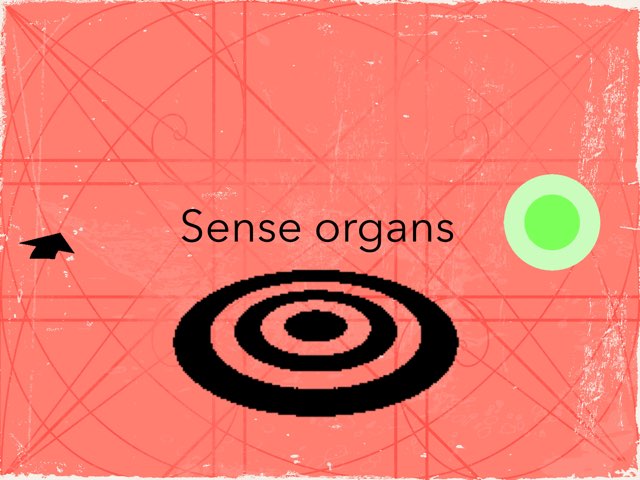 Sense Organs by Pedro Casasano
