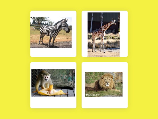 הענק הכי גנדרן בעולם by Lena Lempert