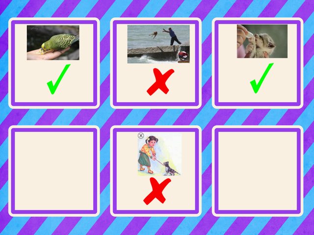 الرفق بالحيوان تدريبات by Haneen Haneen