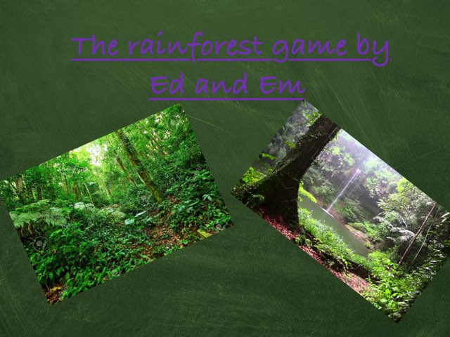 Rainforest By ED and EM by Holy Spirit