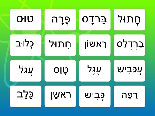 בעלי החיים by שירה גורדון