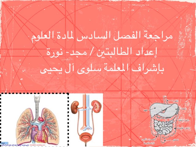 مراجعة علوم  الفصل السادس by مجد آل نور