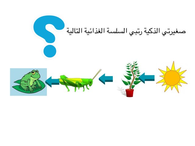 السلسلة by Marwa_ek Kaari