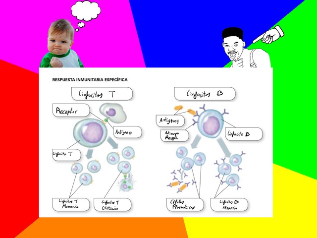 Puzzle 2 Biología by Joaquin Viedma Martinez