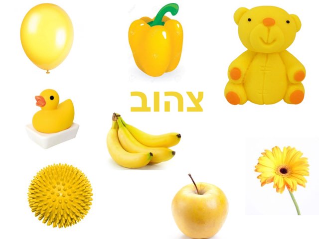 דיאנה צהוב אדום by Diana Sharvit