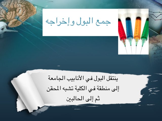 مجد آل نور by مجد آل نور