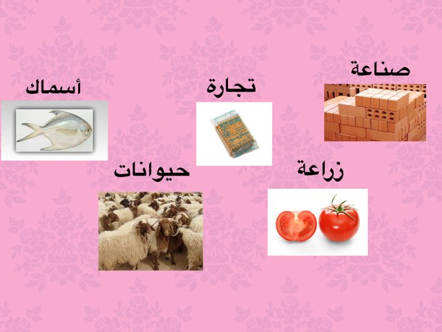 موارد بلادي متنوعة
 by Huda Aljabri