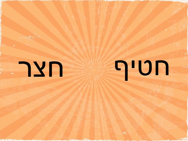 זיהוי מילה חצר  by Maayan Levy