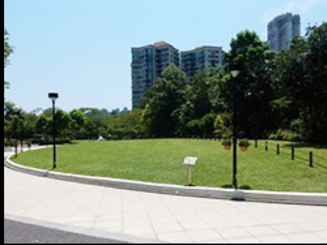 Outing by Dorothy Chan