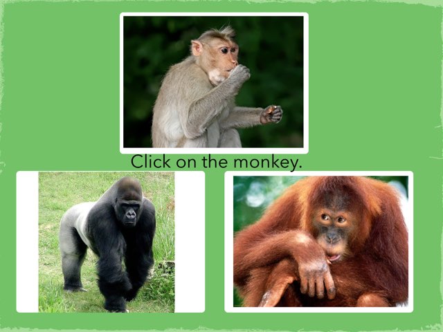 K3-1 by skhsjps St.james