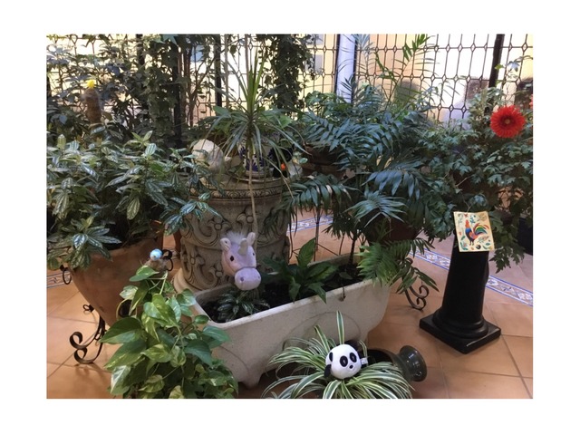 It's Spring! by Susan