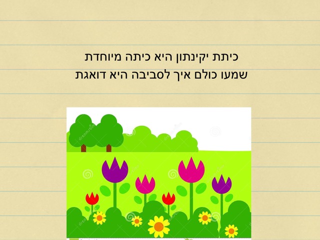 אכות סביבה יקינתון by Ravid Aloni