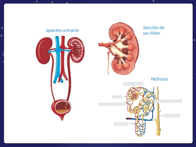 Excretor by Marcos Abarca Fernandez