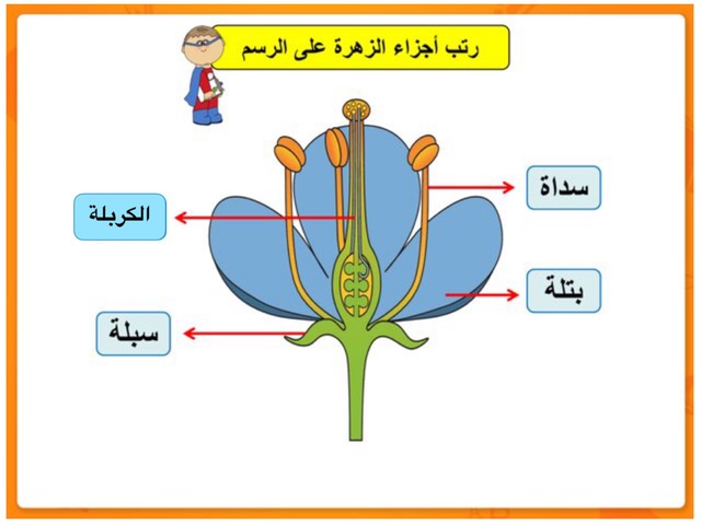 الأزهار by Wejdan AlSaeed