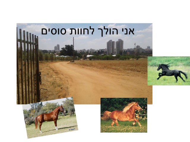 הכנה ליציאה לחוות פינוקי by צפנת הלוי