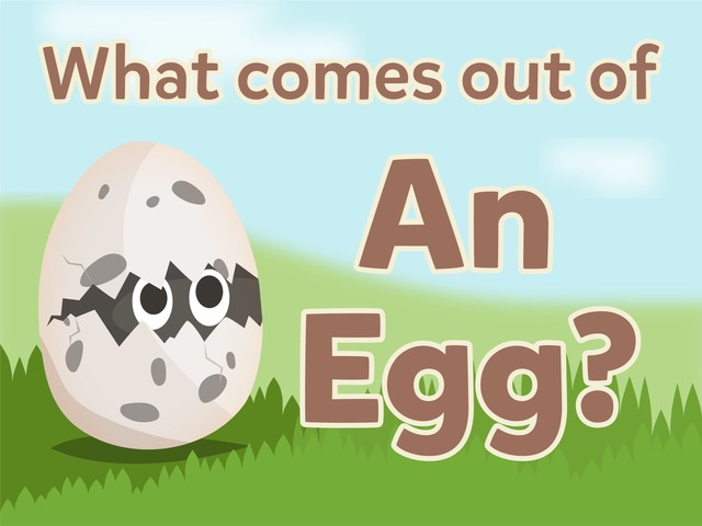 Wat Komt Er Uit Een Ei? by Tiny Tap