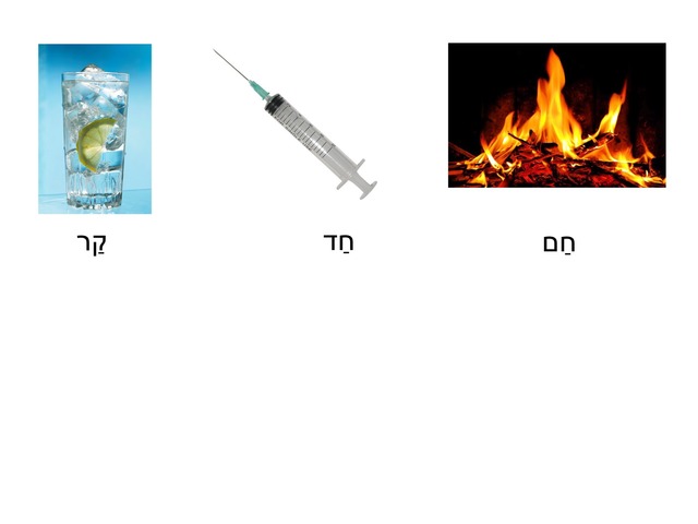 חוש המישוש by רון אקיאן