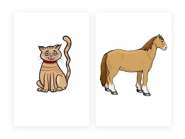 Woordenschat dieren by Jana Cool