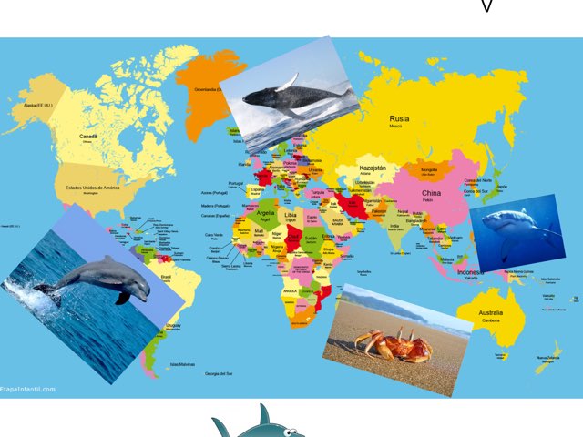 El MAR Y SUS ANIMALES by MARIA TERESA ROSERO