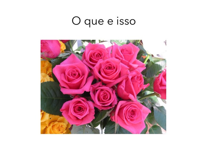 Isso e o que by Maria Clara Fragoso Cavalho