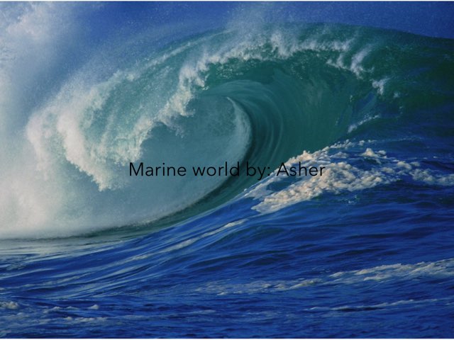 Ocean By Asher by Morah Alex