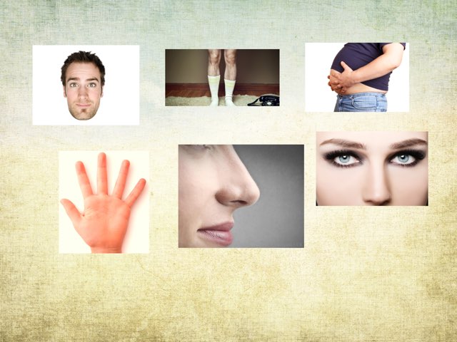 חלקי הגוף by Robin Elbaz