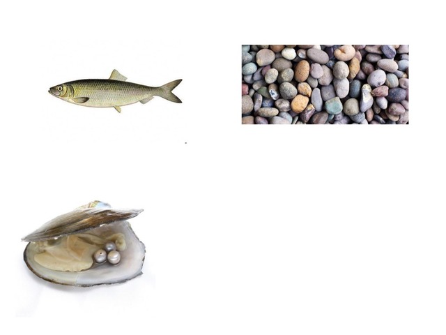 ثروات الارض و الماء by Manal Ahmed