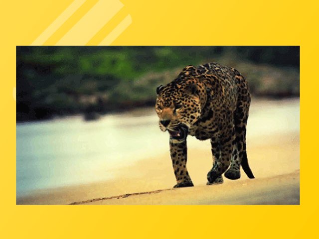 K by Ricardo Ruiz del castillo