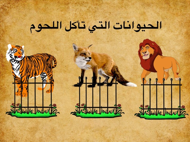  الحيوانات وغذائها by fatimhalsharif