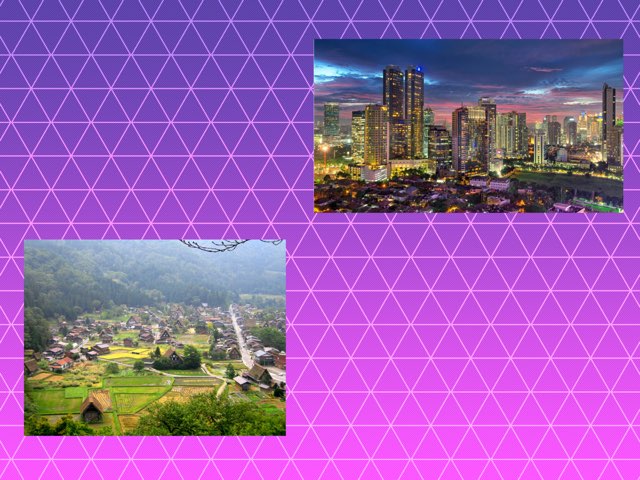 הפרויקט על האלמנה והרוח by Andrew Wechsler