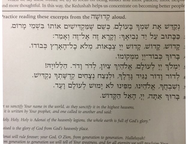 Alex L by Sara Greenberg