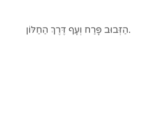 אקדא2 by batya zaltzberger