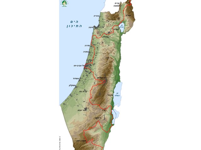 הכרת המפה  by סיון צציק