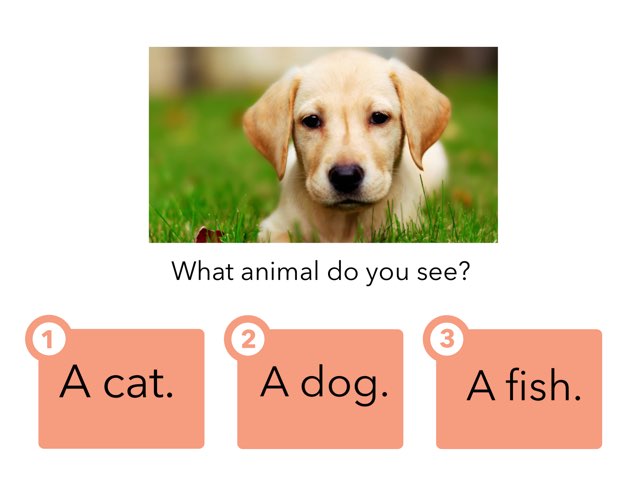 Animal 1
 by skhsjps St.james