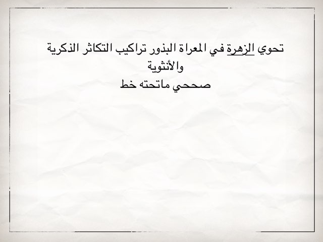 لعبة 18 by Lujayn Kh