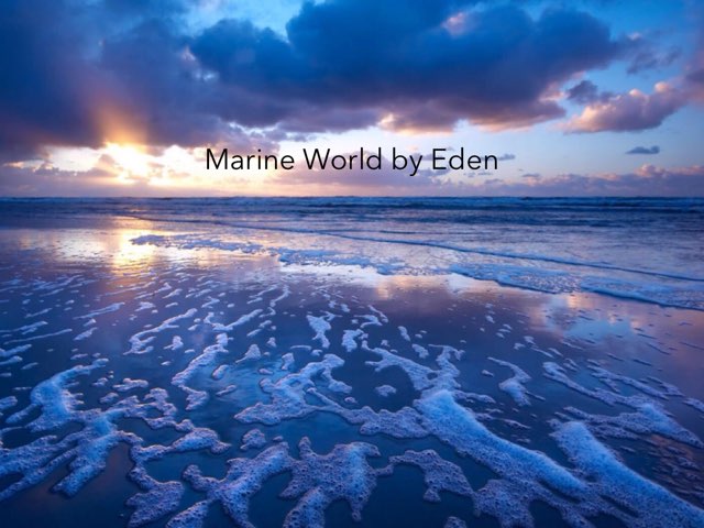 Ocean By Eden  by Morah Alex